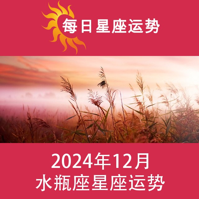 水瓶座 2024年12星座月运