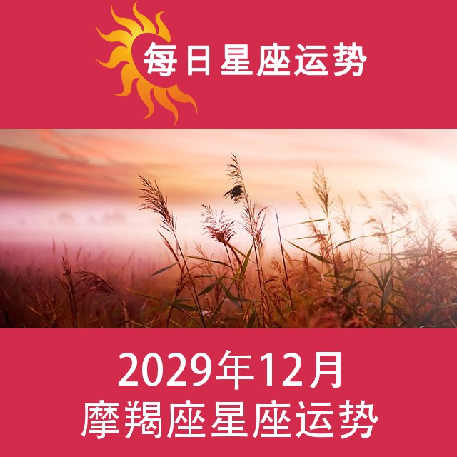 摩羯座 2029年12星座月运