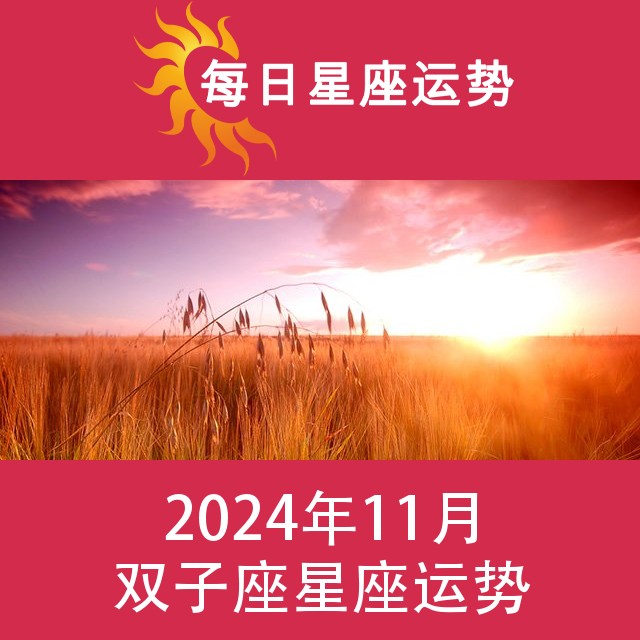 双子座 2024年11星座月运