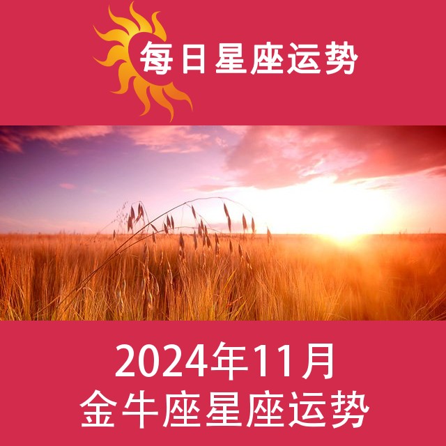 金牛座 2024年11星座月运