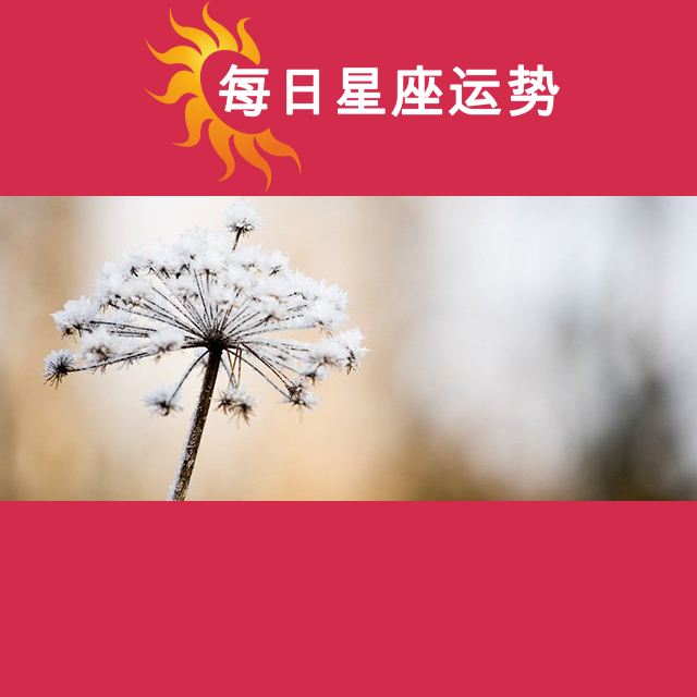 2025年2月3日 的每日星座运势预测