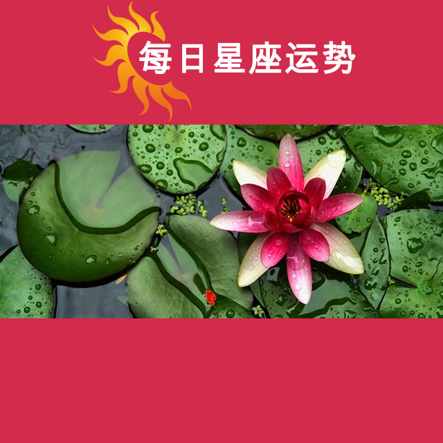 2026年6月3日 的每日星座运势预测