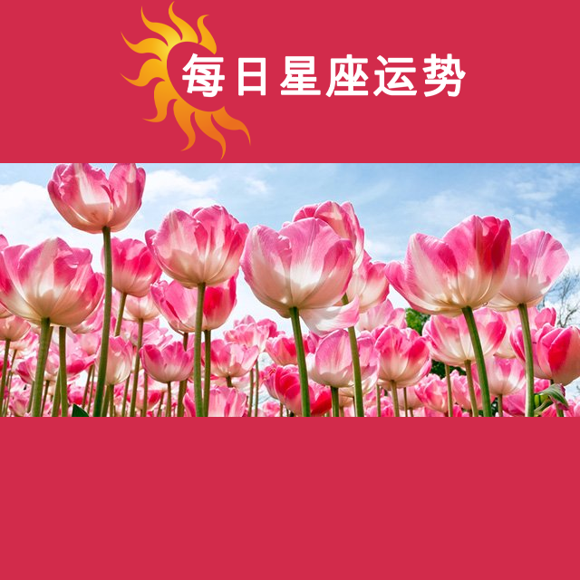 2026年3月7日 的每日星座运势预测