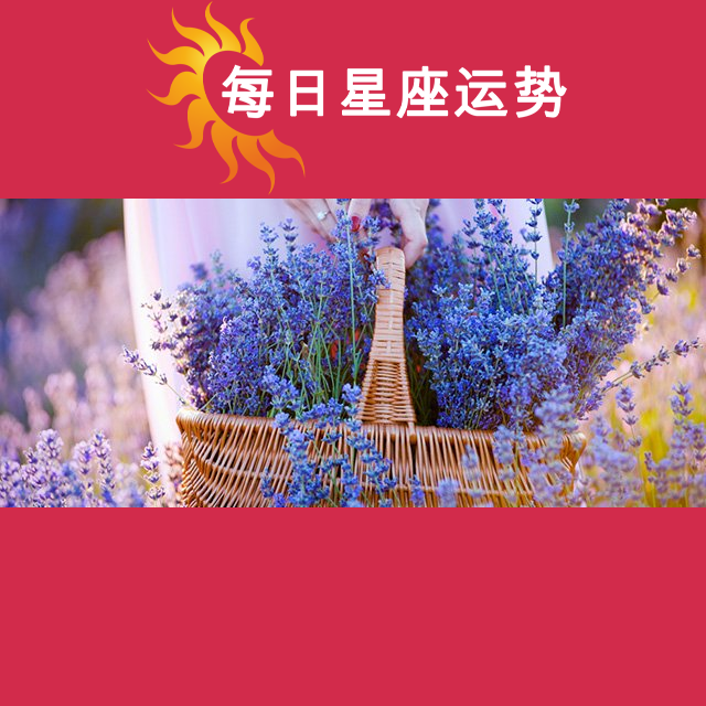 2026年6月11日 的每日星座运势预测