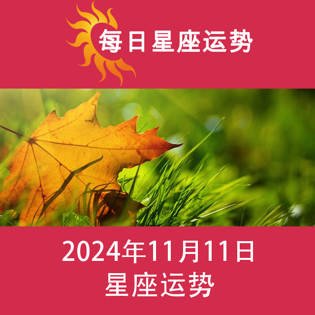 2024年11月11日 的每日星座运势预测