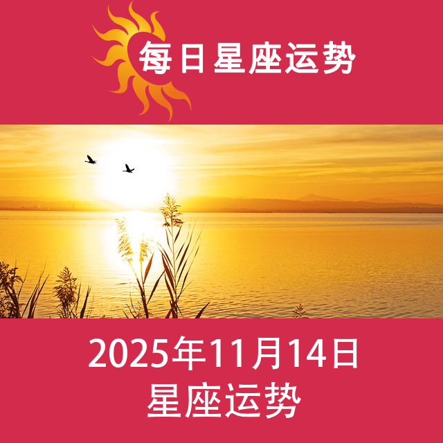 2025年11月14日 的每日星座运势预测