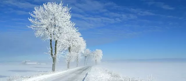 2026年1月3日星期六运势预测 