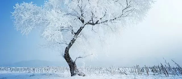 2026年1月9日星期五运势预测 