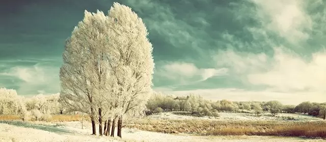 2026年1月14日星期三运势预测 