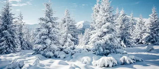 2026年1月24日星期六运势预测 