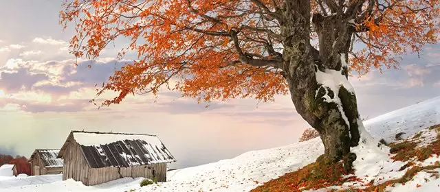 2026年1月31日星期六运势预测 