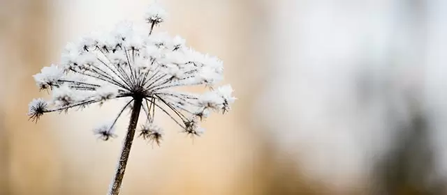 2026年2月3日星期二运势预测 