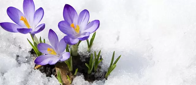 2026年2月5日星期四运势预测 