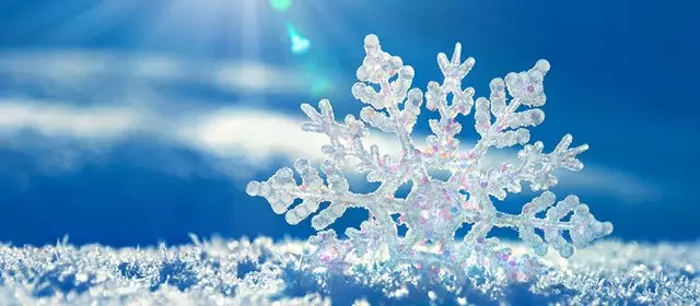 2026年2月7日星期六运势预测 