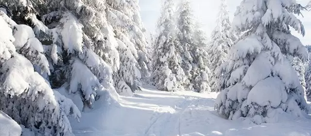 2026年2月11日星期三运势预测 