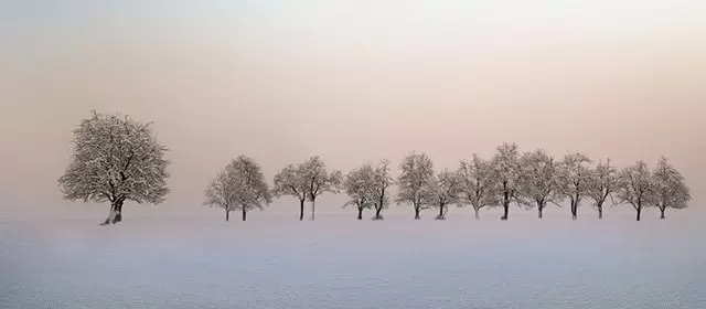 2026年2月16日星期一运势预测 