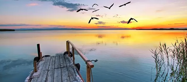 2026年3月1日星期日运势预测 