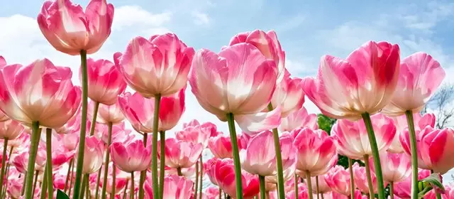 2026年3月7日星期六运势预测 