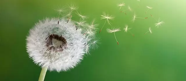 2026年3月11日星期三运势预测 