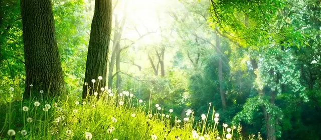 2026年3月13日星期五运势预测 