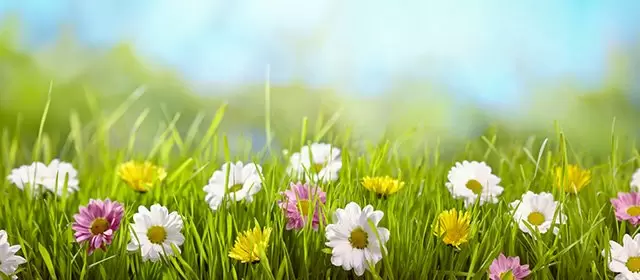 2026年3月28日星期六运势预测 