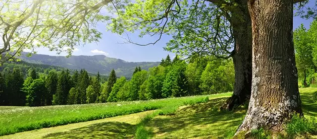 2026年4月1日星期三运势预测 