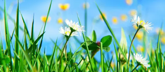 2026年4月3日星期五运势预测 