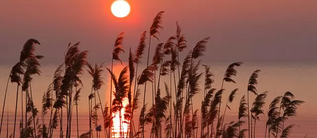 2026年4月5日星期日运势预测 