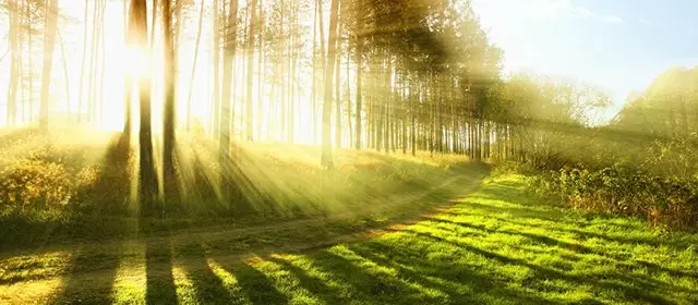 2026年4月7日星期二运势预测 