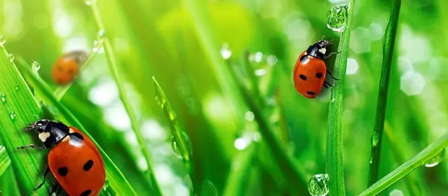 2026年4月12日星期日运势预测 