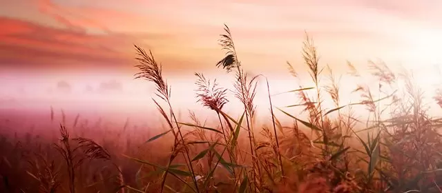 2025年11月4日星期二运势预测 