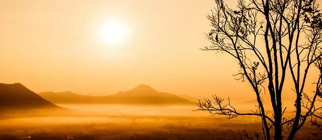 2025年11月9日星期日运势预测 