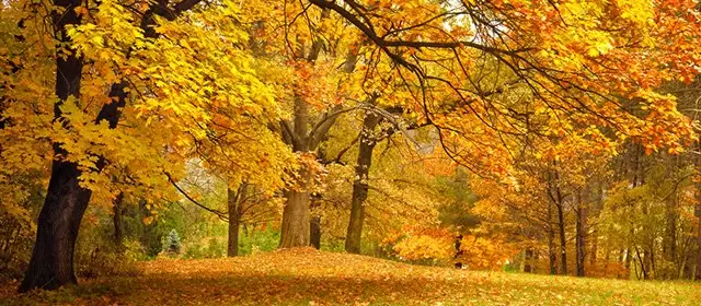 2025年11月10日星期一运势预测 