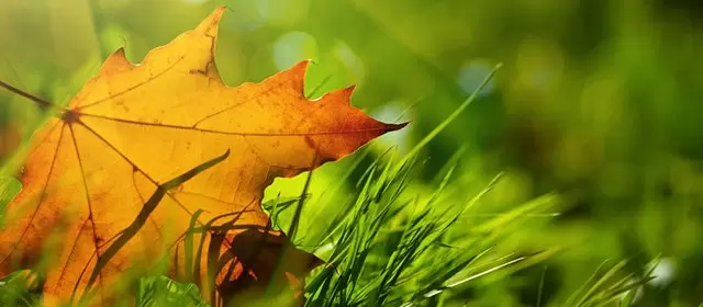 2025年11月11日星期二运势预测 