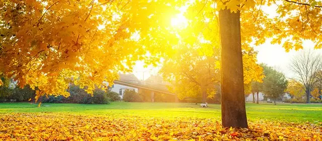 2025年11月12日星期三运势预测 