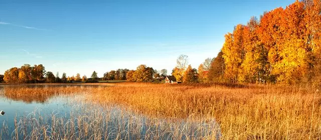 2025年11月13日星期四运势预测 