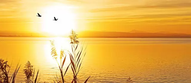 2025年11月14日星期五运势预测 