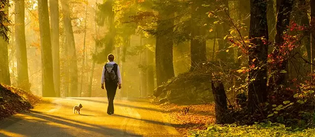 2025年11月17日星期一运势预测 