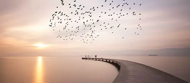 2025年11月20日星期四运势预测 