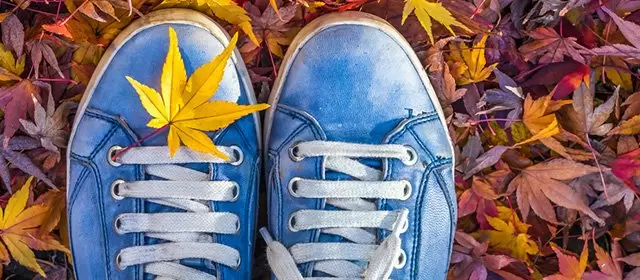 2025年11月21日星期五运势预测 