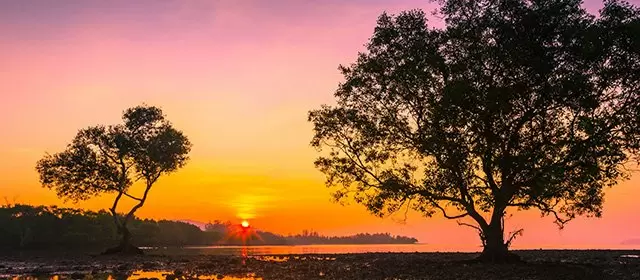 2025年11月22日星期六运势预测 