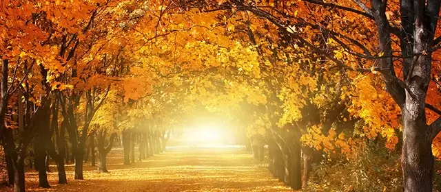 2025年11月24日星期一运势预测 