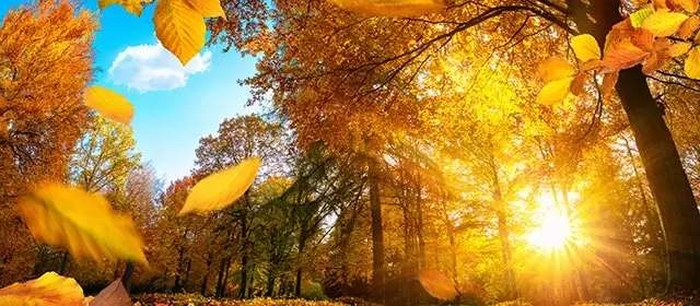 2025年11月26日星期三运势预测 