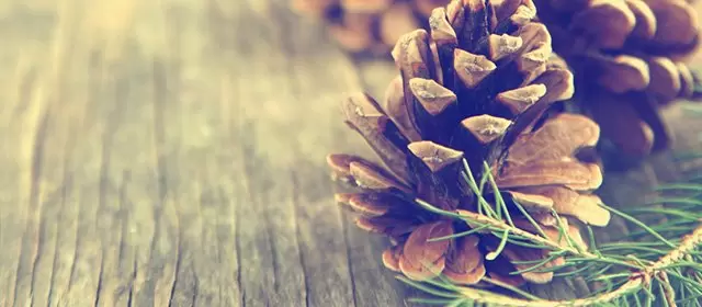 2025年12月7日星期日运势预测 