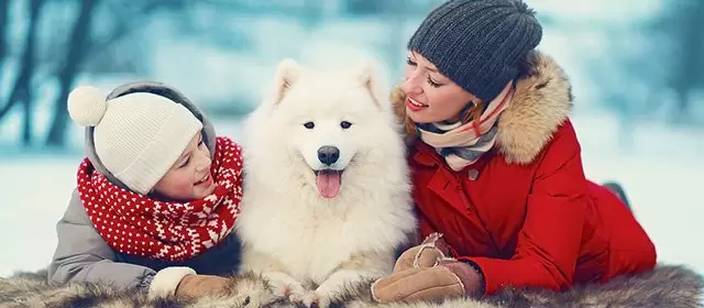 2025年12月14日星期日运势预测 