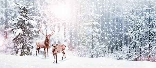 2025年12月17日星期三运势预测 