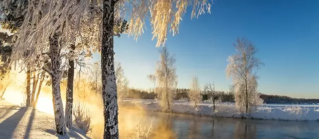 2025年12月20日星期六运势预测 