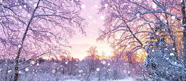 2025年12月22日星期一运势预测 