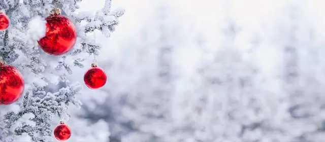 2025年12月23日星期二运势预测 