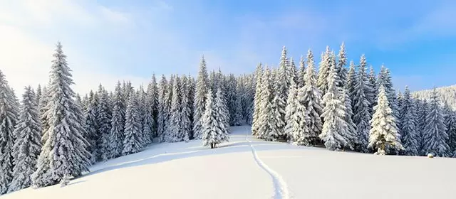 2025年12月30日星期二运势预测 